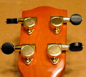 Mainland head - back