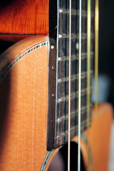 Pono details