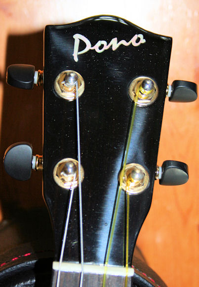 Pono head