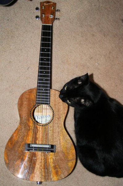 Abby and a Pono mango tenor