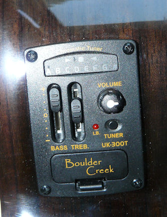 Riptide electronics